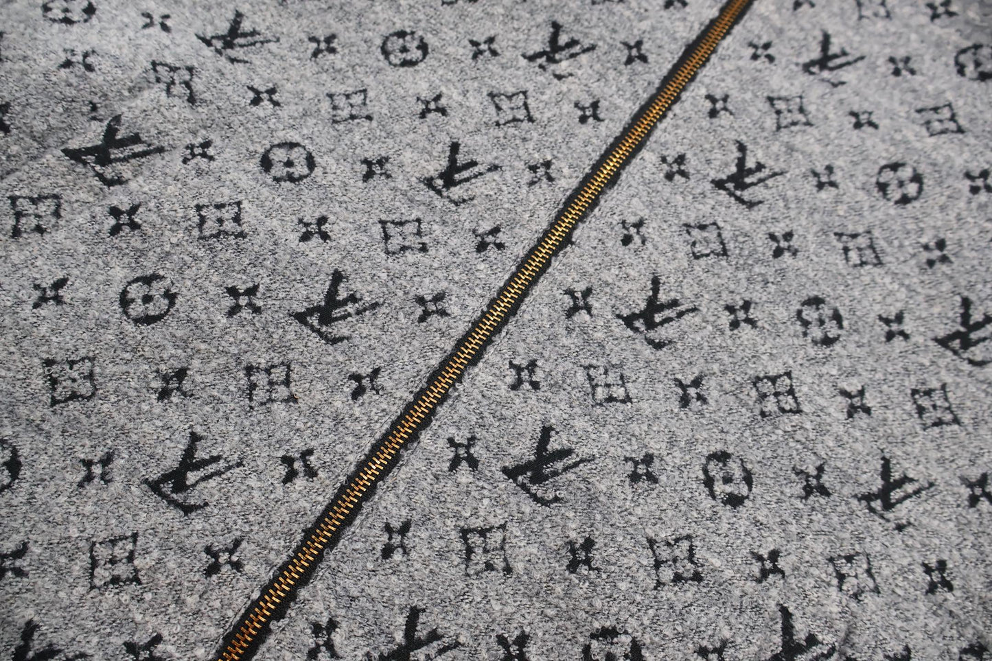 Louis zip-Up hoodie jacket